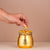 Elle-Sera The Golden Pill Gift Set