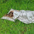 Grounding SoftSilver™ Sheet Kit Nighttime Earthing Wellness Grounded Wellness grounded-wellness-wellness-grounding-softsilver-sheet-kit-nighttime-earthing-1157603409