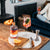 Pentire Drinks Bundle Bestsellers Bundle