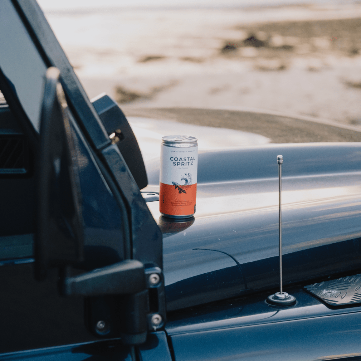 Pentire Drinks Can Pentire Coastal Spritz