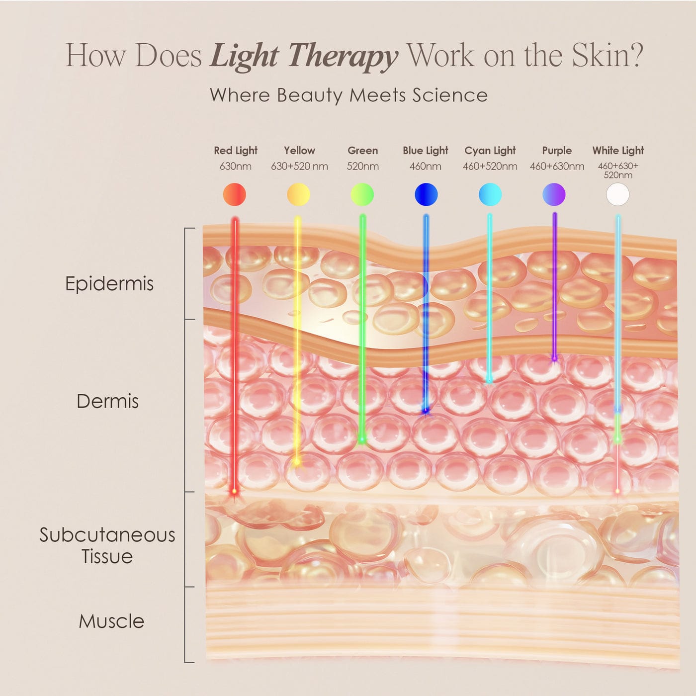 LightAura | LED Face Mask Skin Care Project E Beauty project-e-beauty-skin-care-lightaura-led-face-mask-1159432374