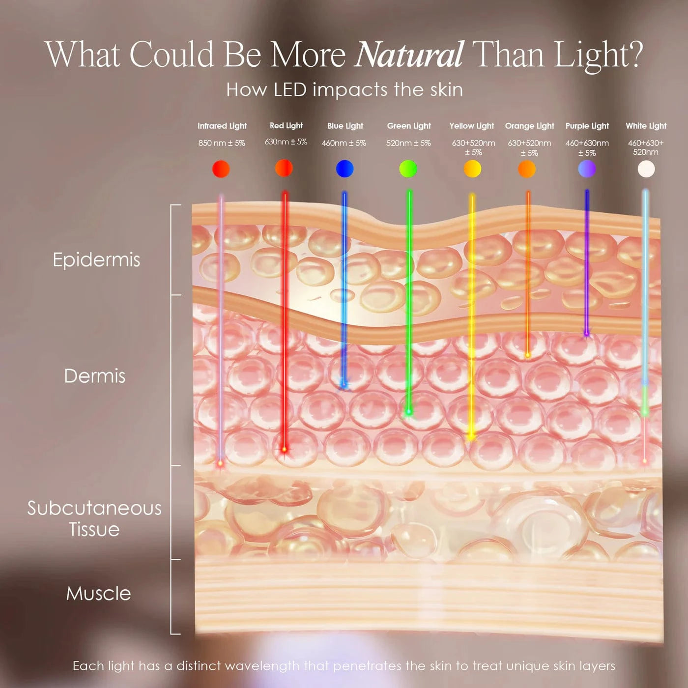 LumaLux Dome | Face & Body LED Light Therapy Device Skin Care Project E Beauty project-e-beauty-skin-care-lumalux-dome-face-body-led-light-therapy-device-1159432397