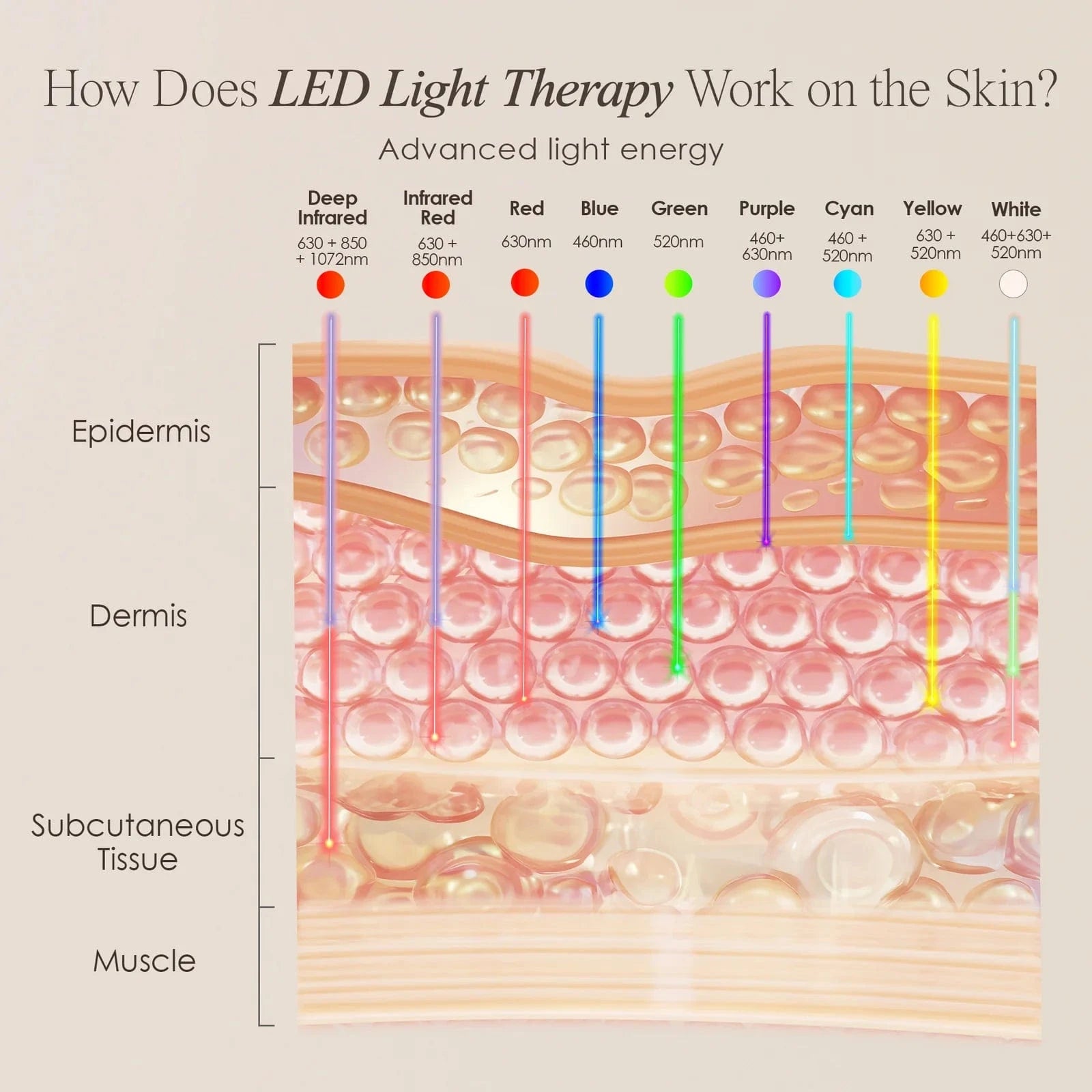 LumaLux Face+ | Pro LED Light Therapy Face & Neck Mask Skin Care Project E Beauty project-e-beauty-skin-care-lumalux-face-pro-led-light-therapy-face-neck-mask-1160874692