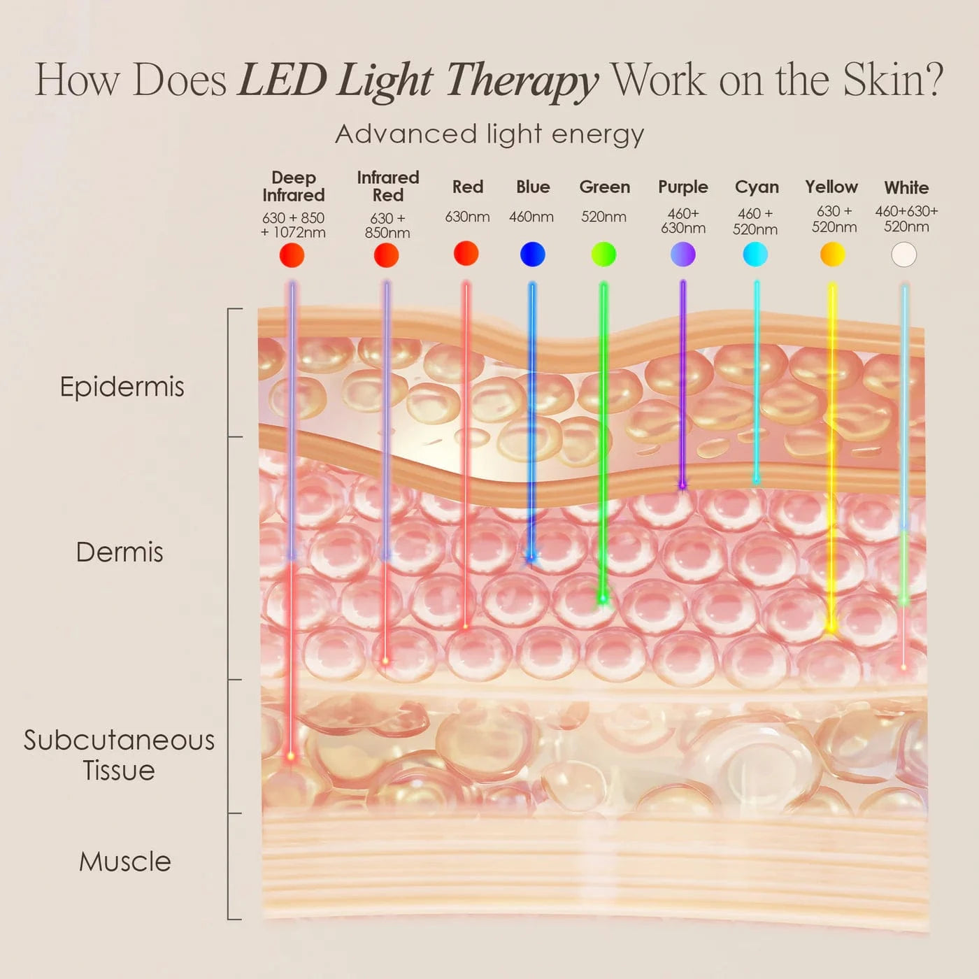 LumaLux Face | Pro LED Light Therapy Mask Skin Care Project E Beauty project-e-beauty-skin-care-lumalux-face-pro-led-light-therapy-mask-1158703189