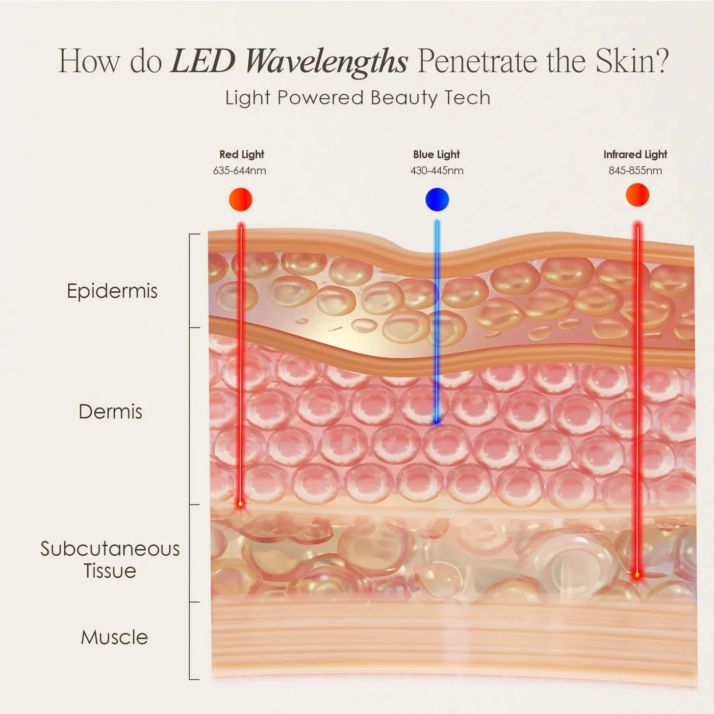 Lumamask Pro | LED Light Therapy Face Mask Skin Care Project E Beauty project-e-beauty-skin-care-lumamask-pro-led-light-therapy-face-mask-1158719724