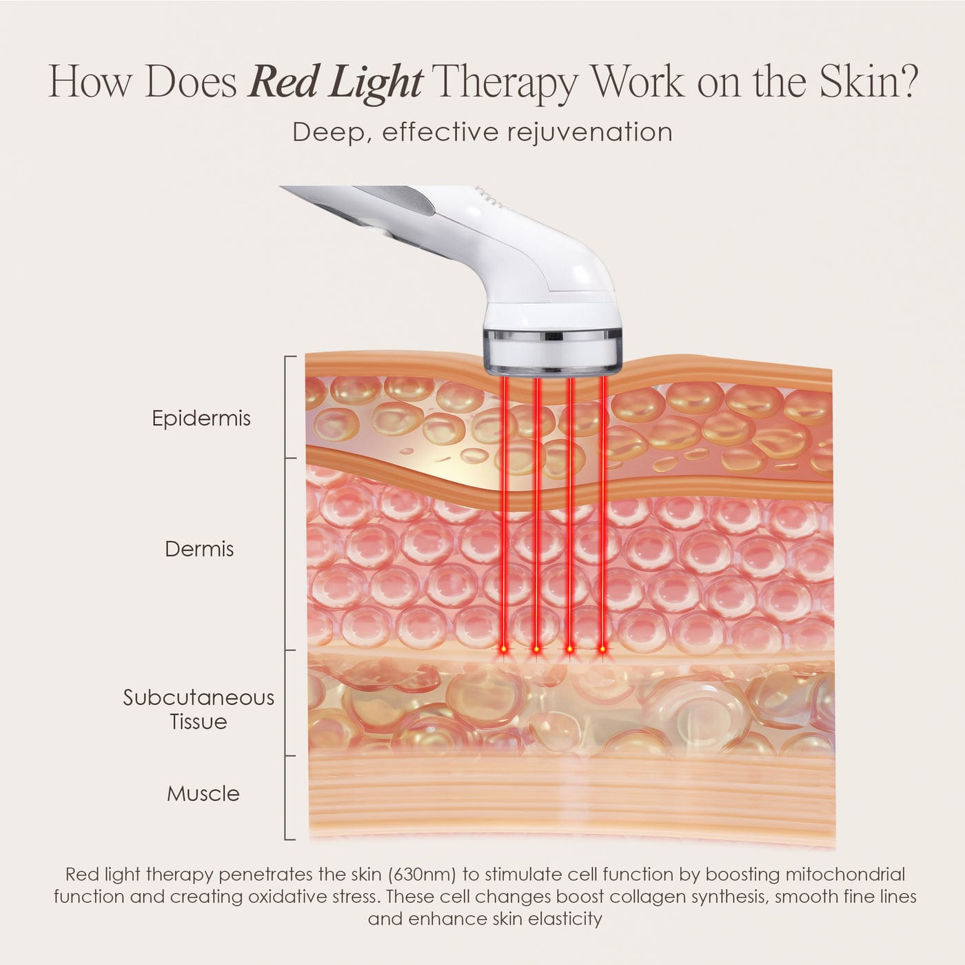 Project E Beauty Skin Care Red LED+ | Anti-Aging Therapy Wand