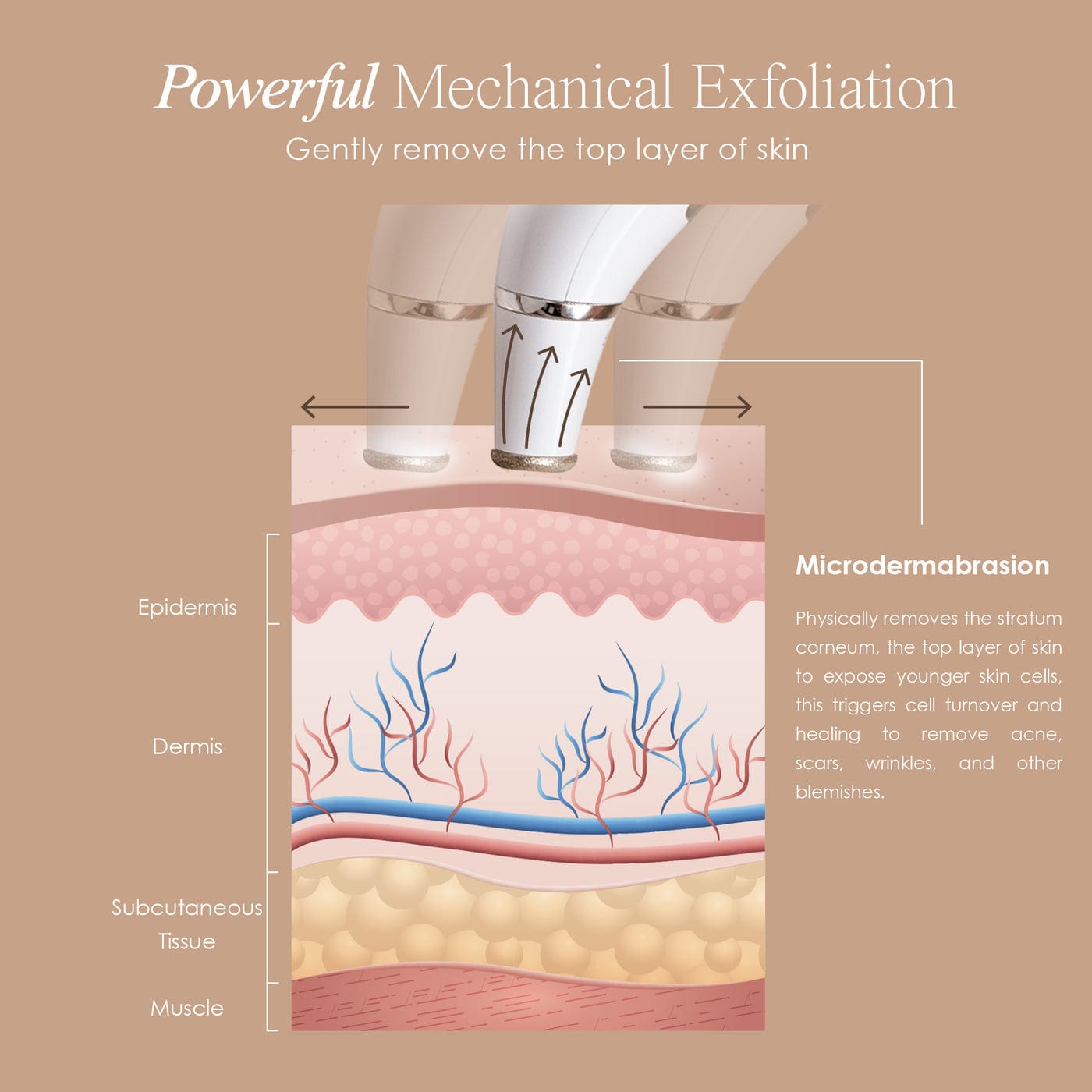 Project E Beauty Skin Care Reinvo | Facial Microdermabrasion Wand