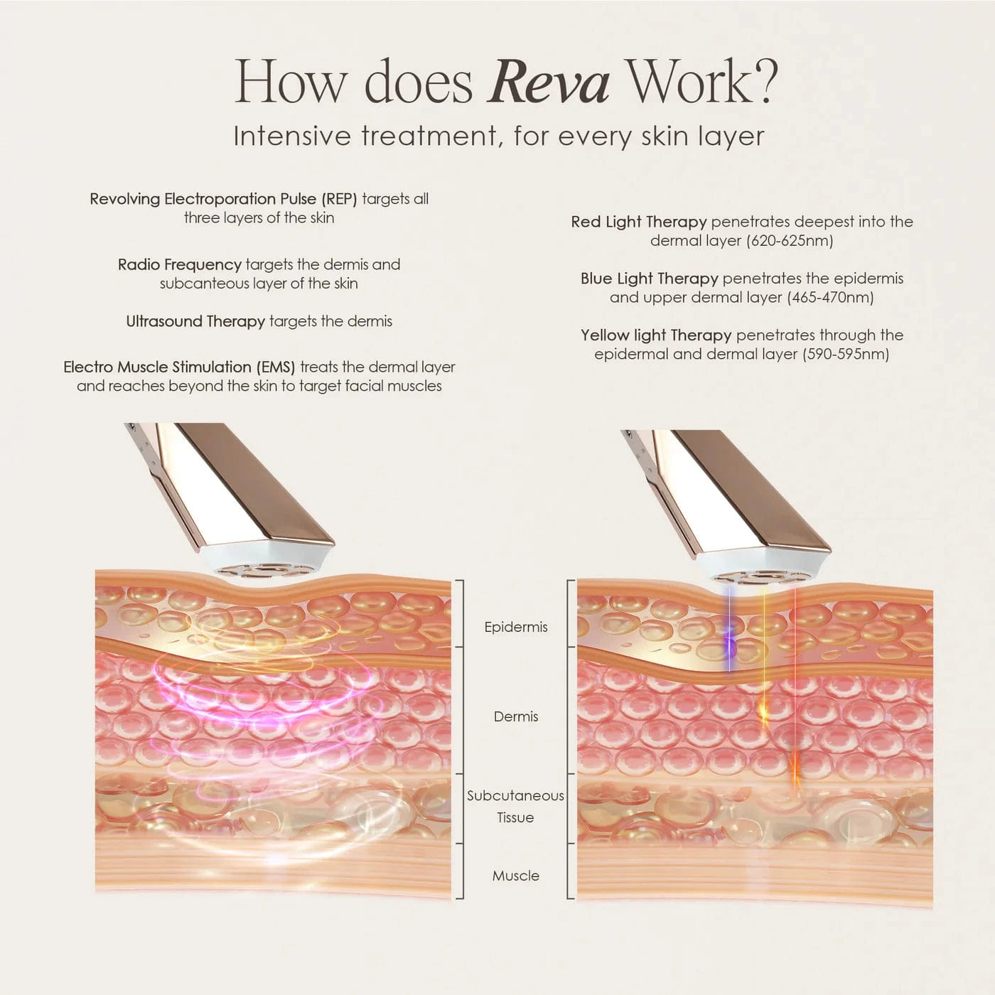 REVA | Instant Age Renewal Wand Skin Care Project E Beauty project-e-beauty-skin-care-reva-instant-age-renewal-wand-1158719761
