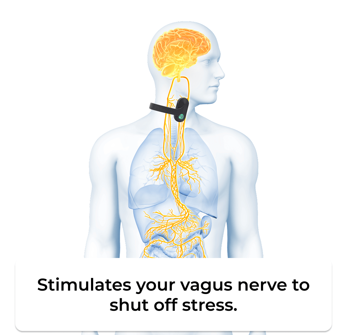 Pulsetto Vagus Nerve Stimulation Device Pulsetto Device Pulsetto pulsetto-pulsetto-device-pulsetto-vagus-nerve-stimulation-device-1177377823